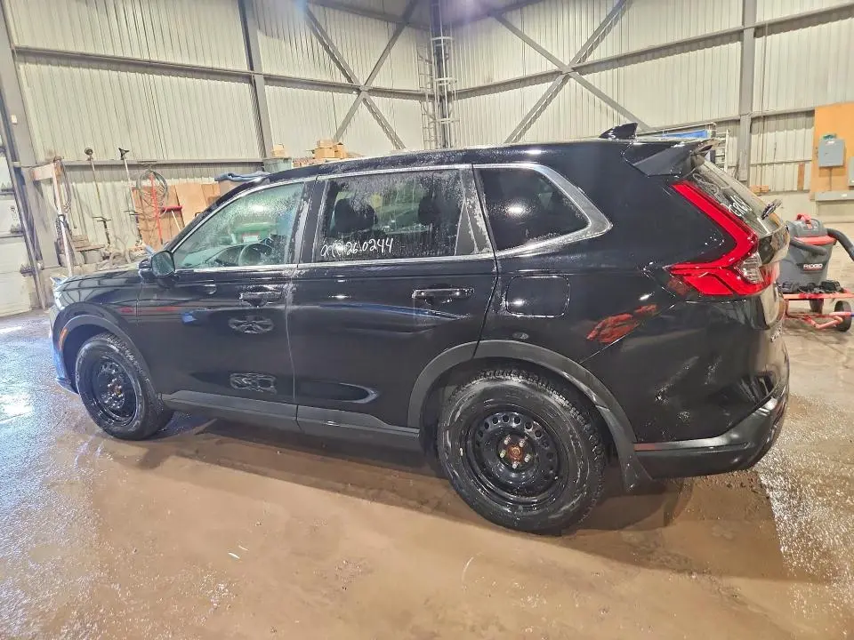 2024 HONDA CR-V   