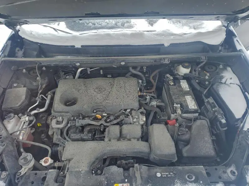 2023 TOYOTA RAV4 XLE  