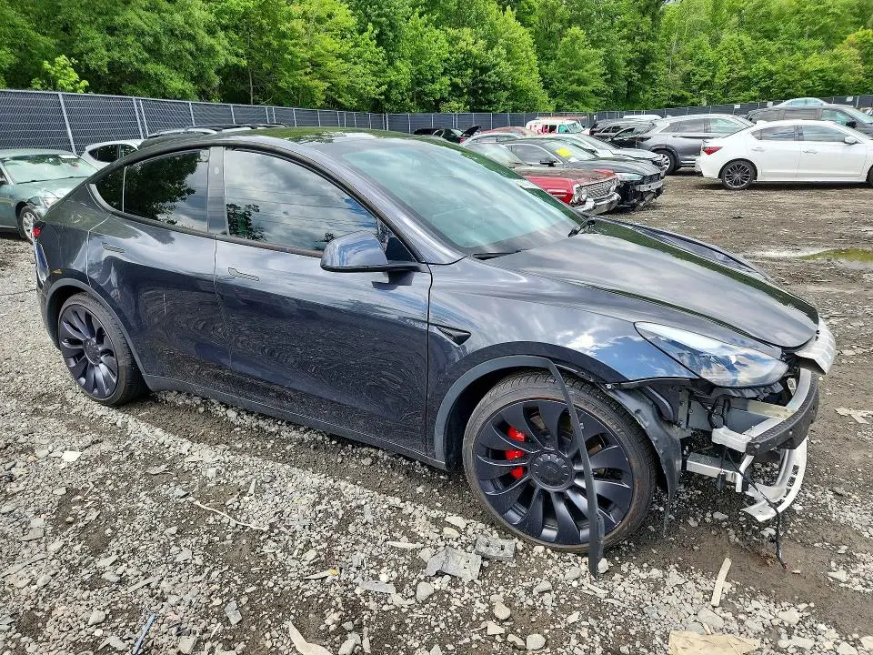 2024 TESLA MODEL Y   