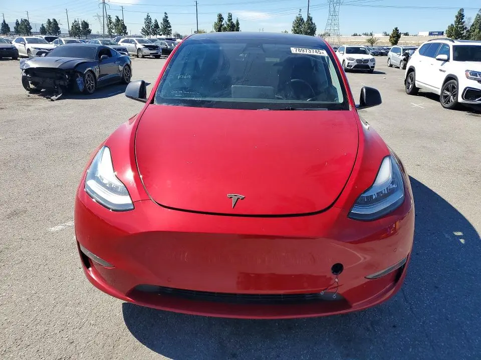 2021 TESLA MODEL Y   