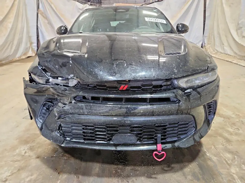 2024 DODGE HORNET R  