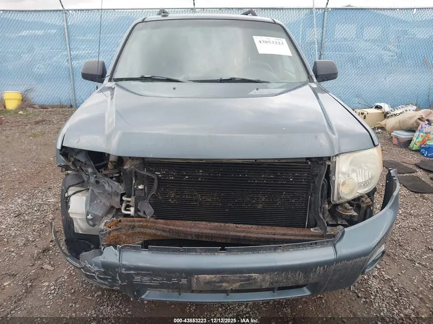 2010 FORD ESCAPE XLT