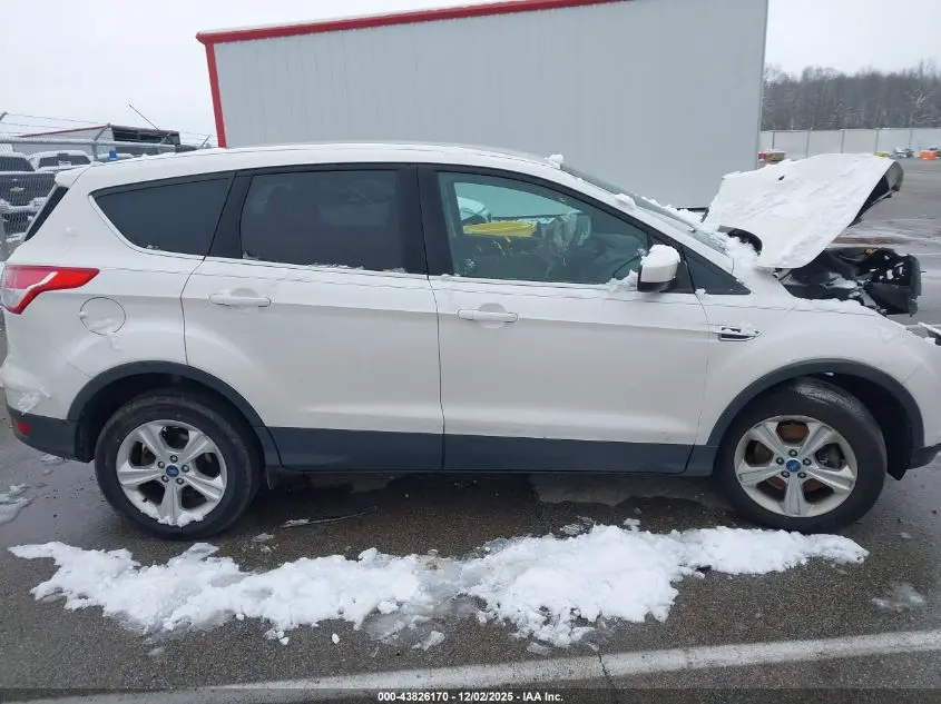 2013 FORD ESCAPE SE