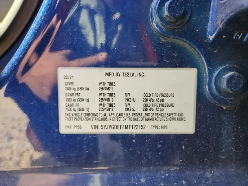 2021 TESLA MODEL Y   