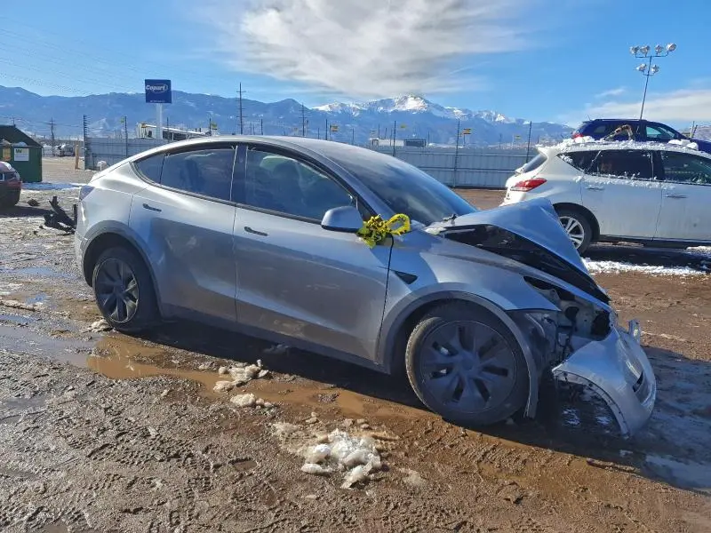 2025 TESLA MODEL Y   
