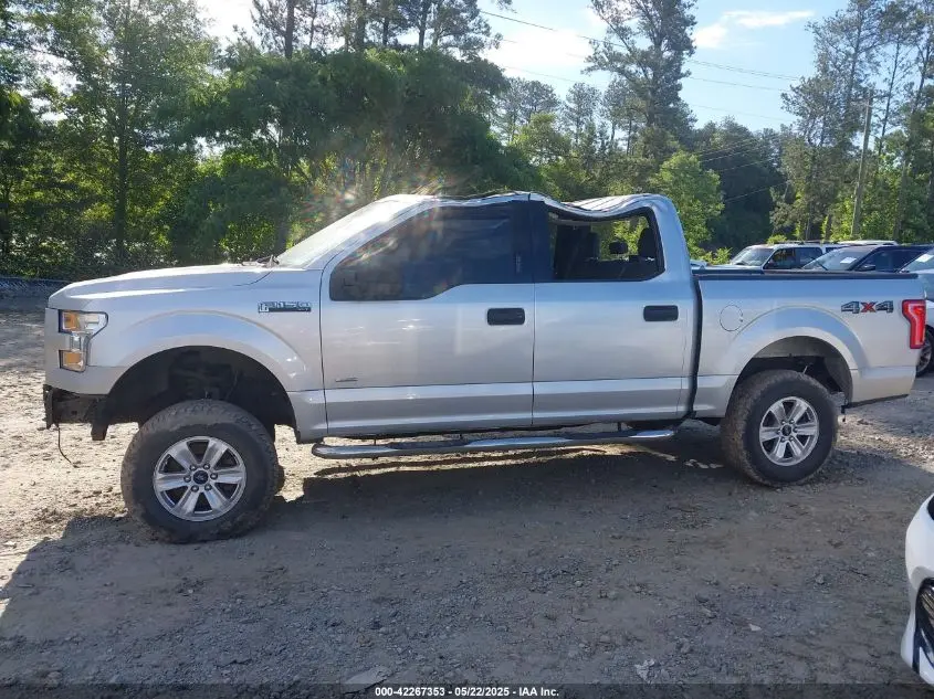 2015 FORD F-150 XLT
