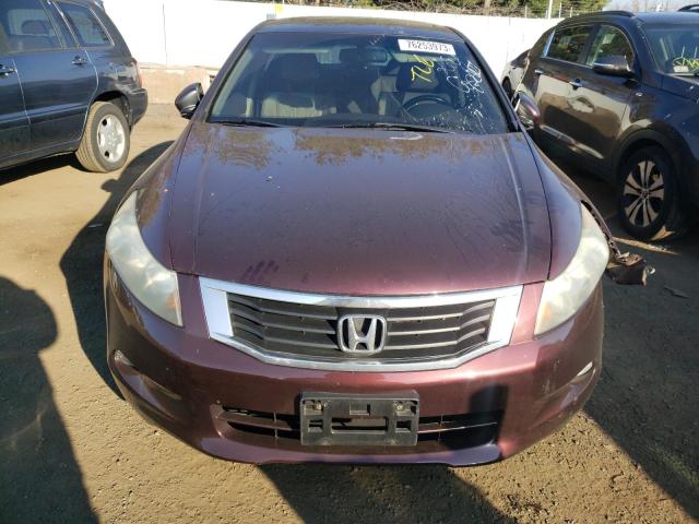 2010 HONDA ACCORD EXL