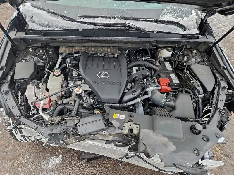 2024 LEXUS NX 350 LUXURY  