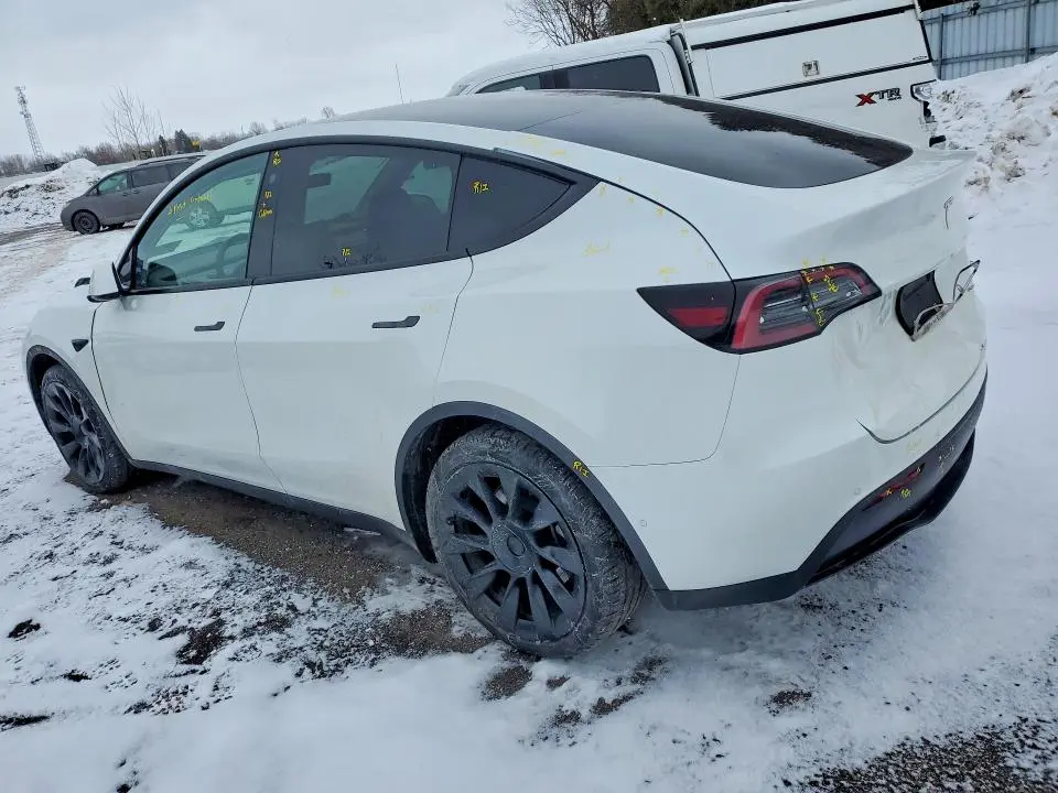 2022 TESLA MODEL Y   