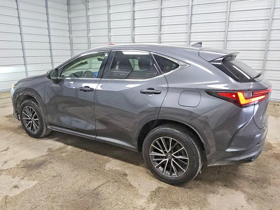 2023 LEXUS NX 250  