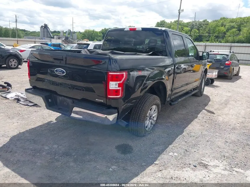 2019 FORD F-150 XLT