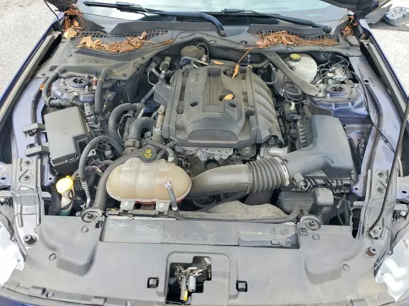2019 FORD MUSTANG   