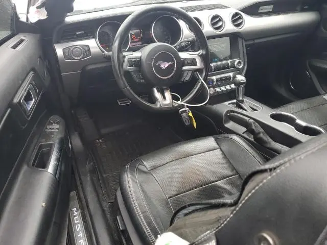 2019 FORD MUSTANG   