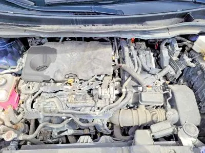 2021 TOYOTA SIENNA LE  