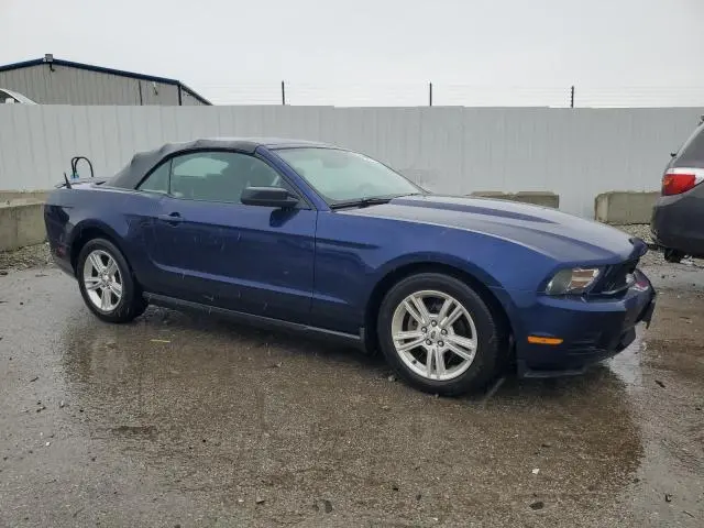 2010 FORD MUSTANG   