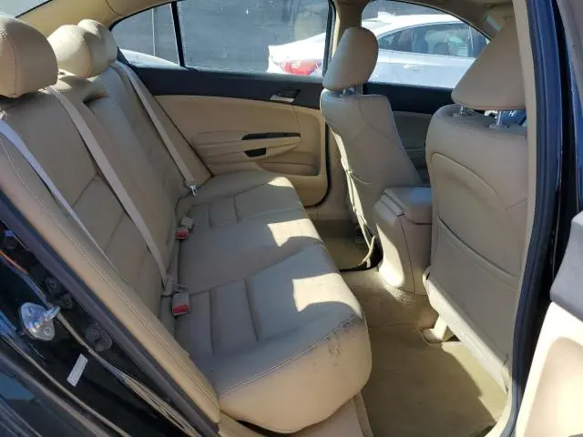 2011 HONDA ACCORD SE  