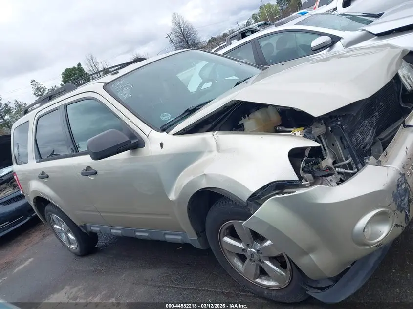 2012 FORD ESCAPE XLT