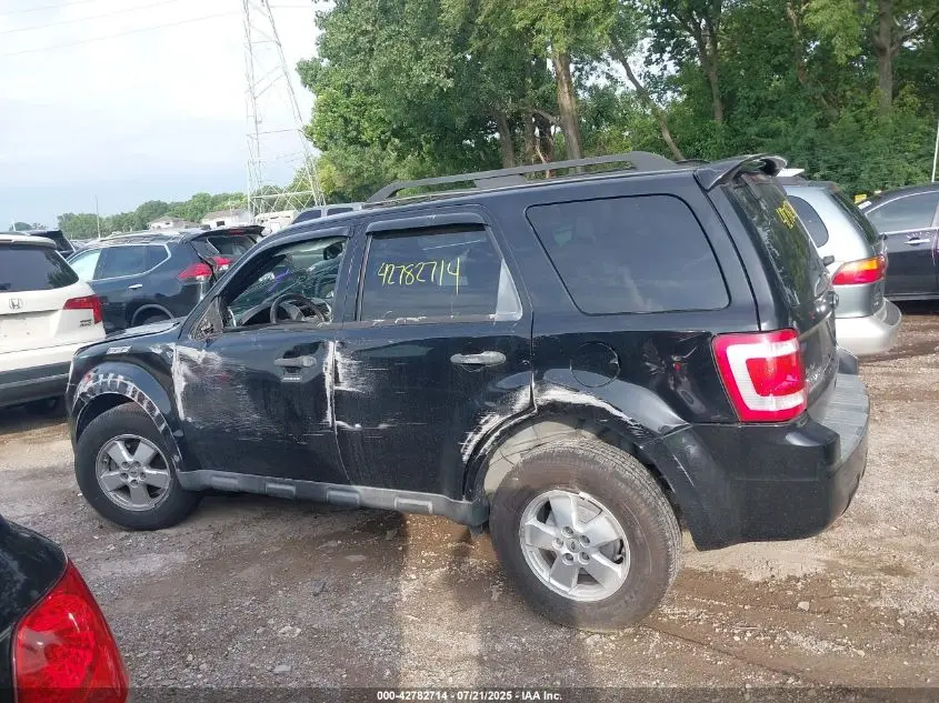 2010 FORD ESCAPE XLT