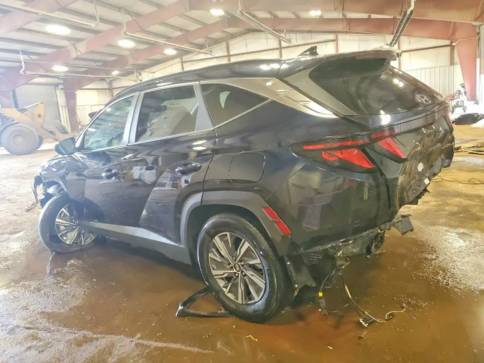 2024 HYUNDAI TUCSON BLUE  