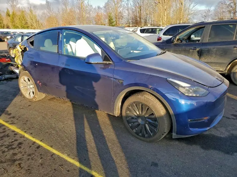 2024 TESLA MODEL Y   