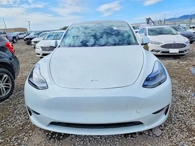 2025 TESLA MODEL Y   