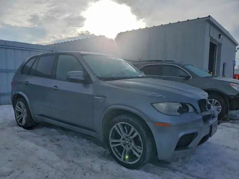 2010 BMW X5 M  