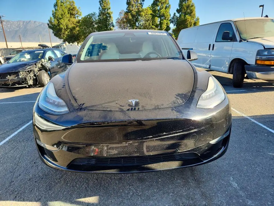 2020 TESLA MODEL Y   