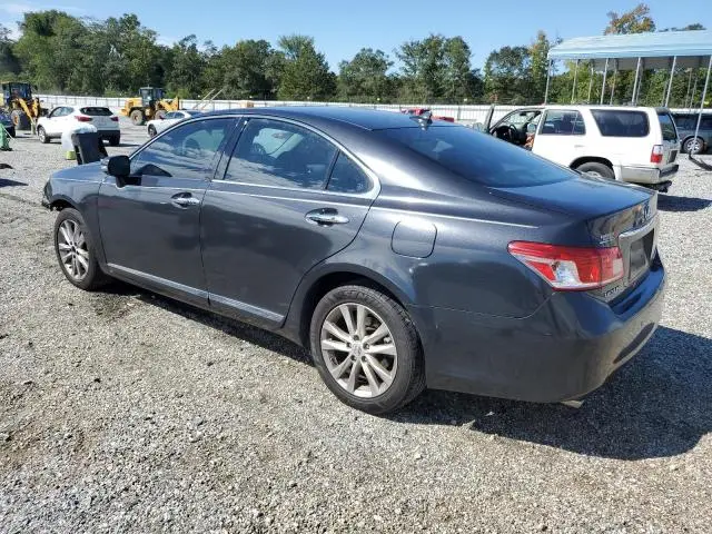 2010 LEXUS ES 350