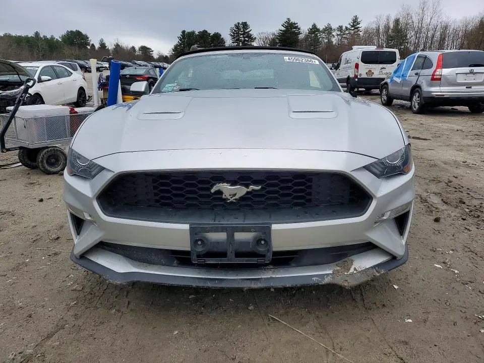 2019 FORD MUSTANG   