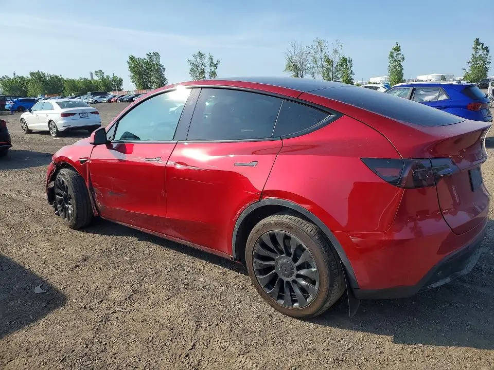 2024 TESLA MODEL Y   