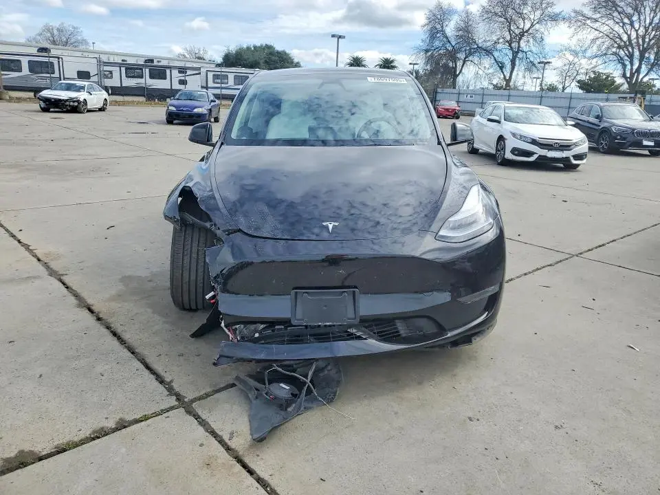 2025 TESLA MODEL Y   