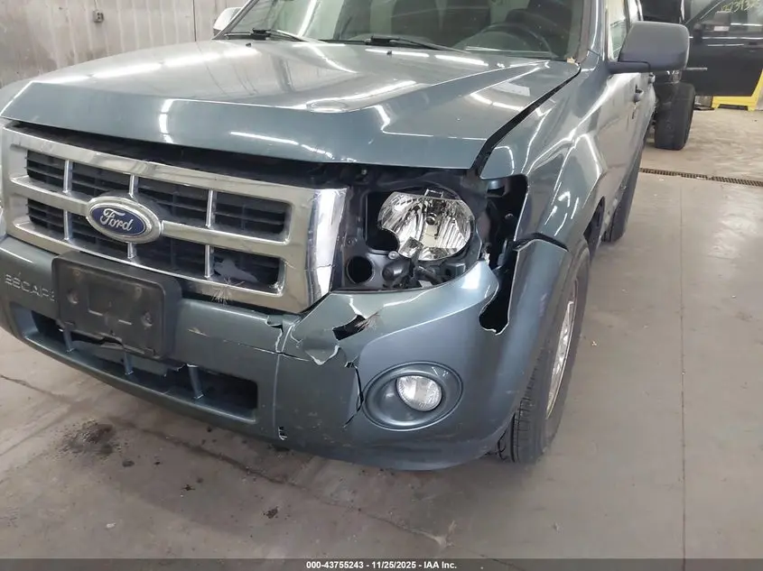 2011 FORD ESCAPE XLT