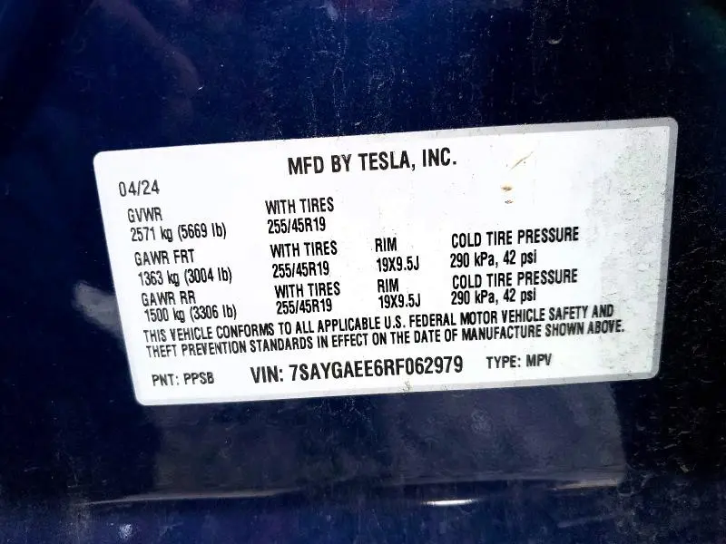 2024 TESLA MODEL Y   