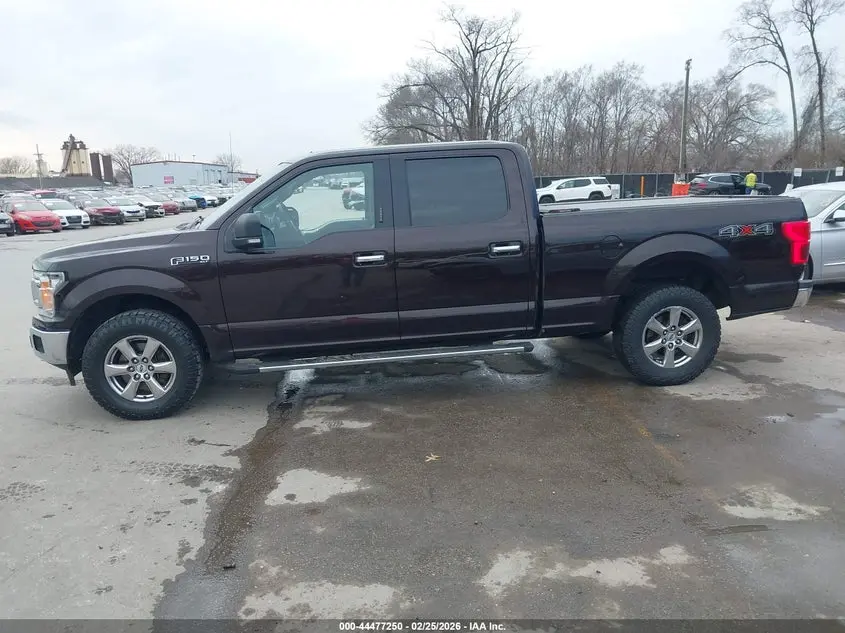 2019 FORD F-150 XLT