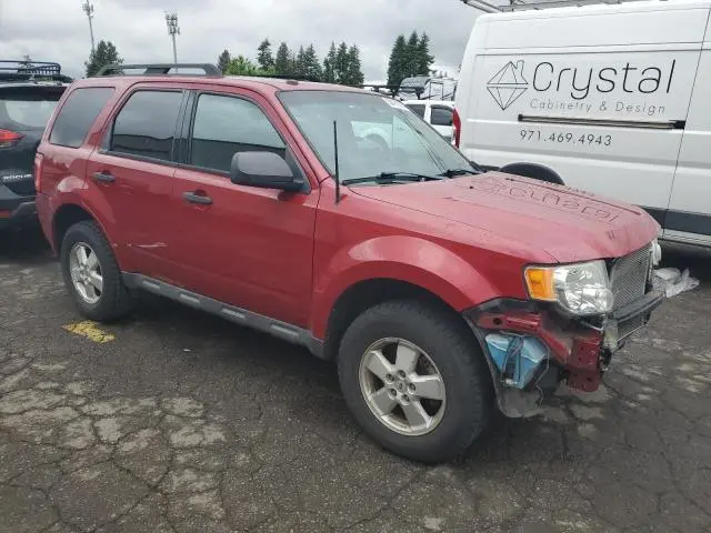2010 FORD ESCAPE XLT