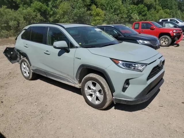 2019 TOYOTA RAV4 XLE  