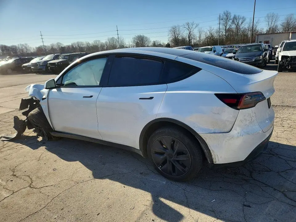 2024 TESLA MODEL Y   