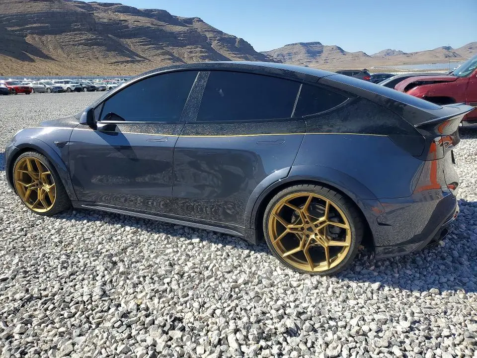 2021 TESLA MODEL Y   