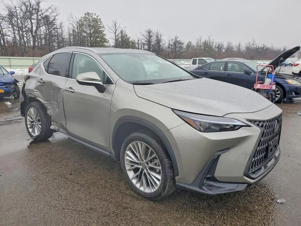 2025 LEXUS NX 350 PREMIUM  