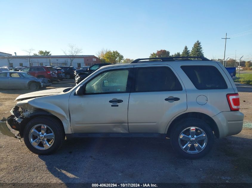 2012 FORD ESCAPE XLT