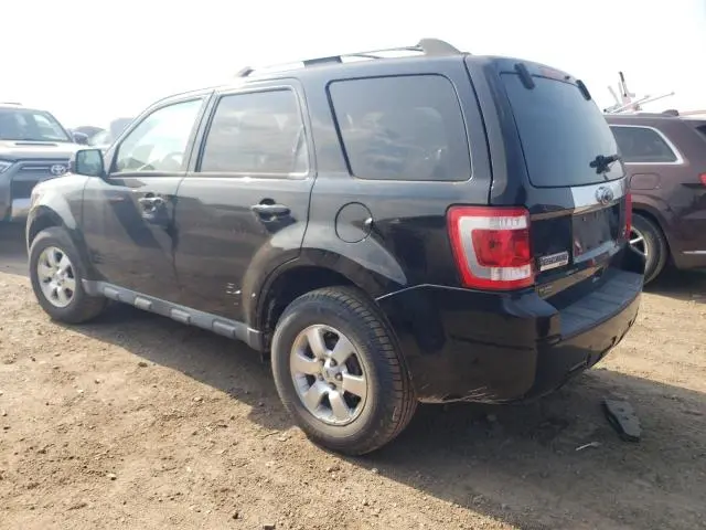 2010 FORD ESCAPE LIMITED  