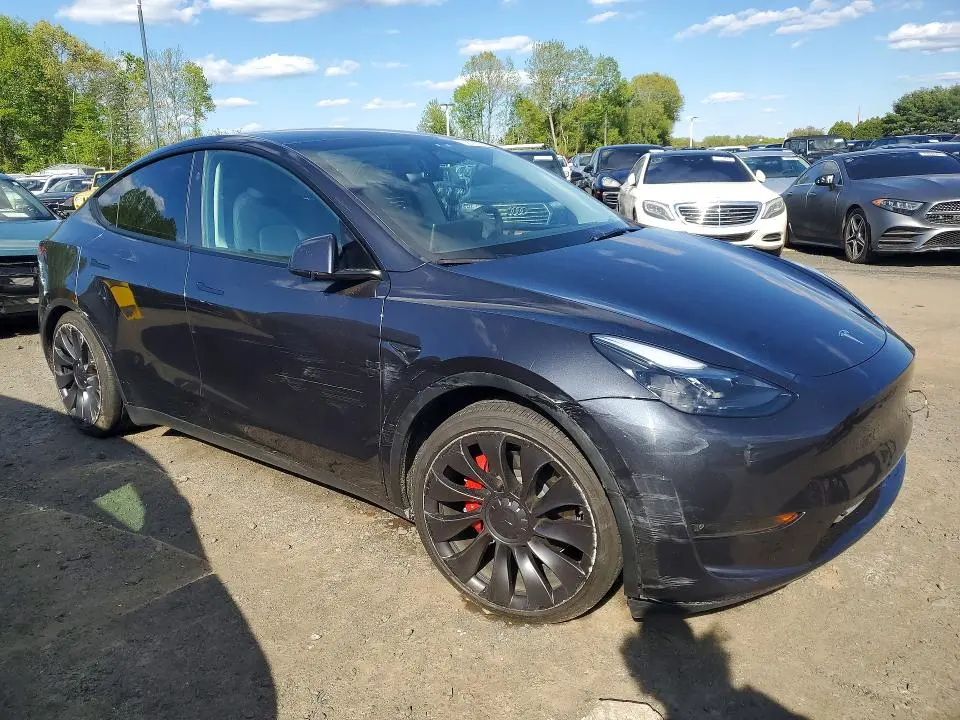 2025 TESLA MODEL Y   