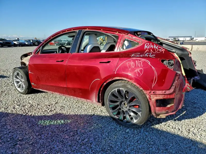 2024 TESLA MODEL Y   
