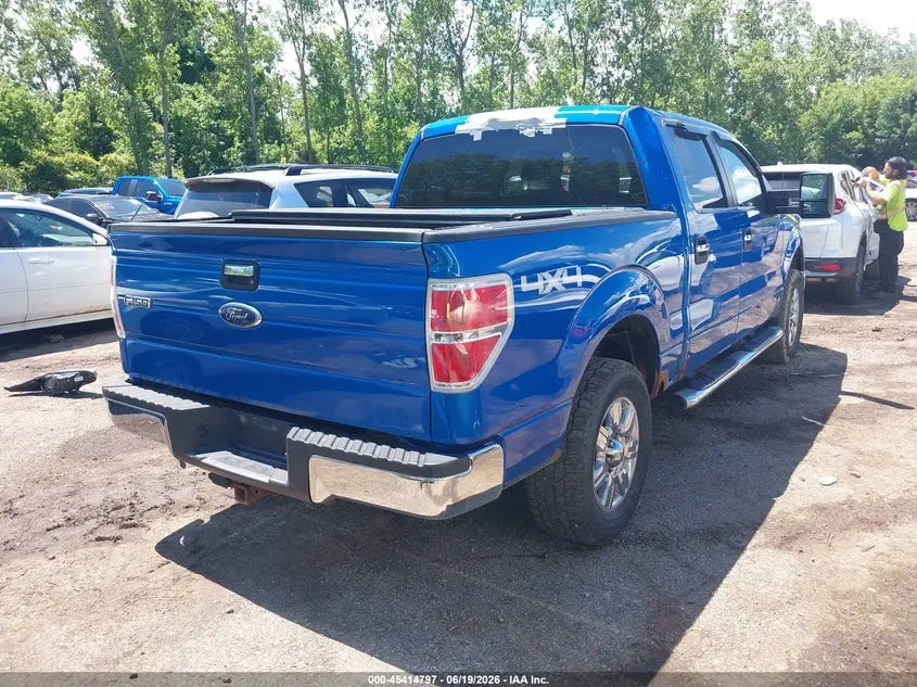 2010 FORD F-150 XL/XLT
