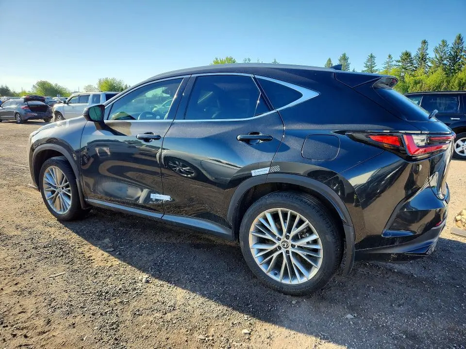 2025 LEXUS NX 350 PREMIUM  