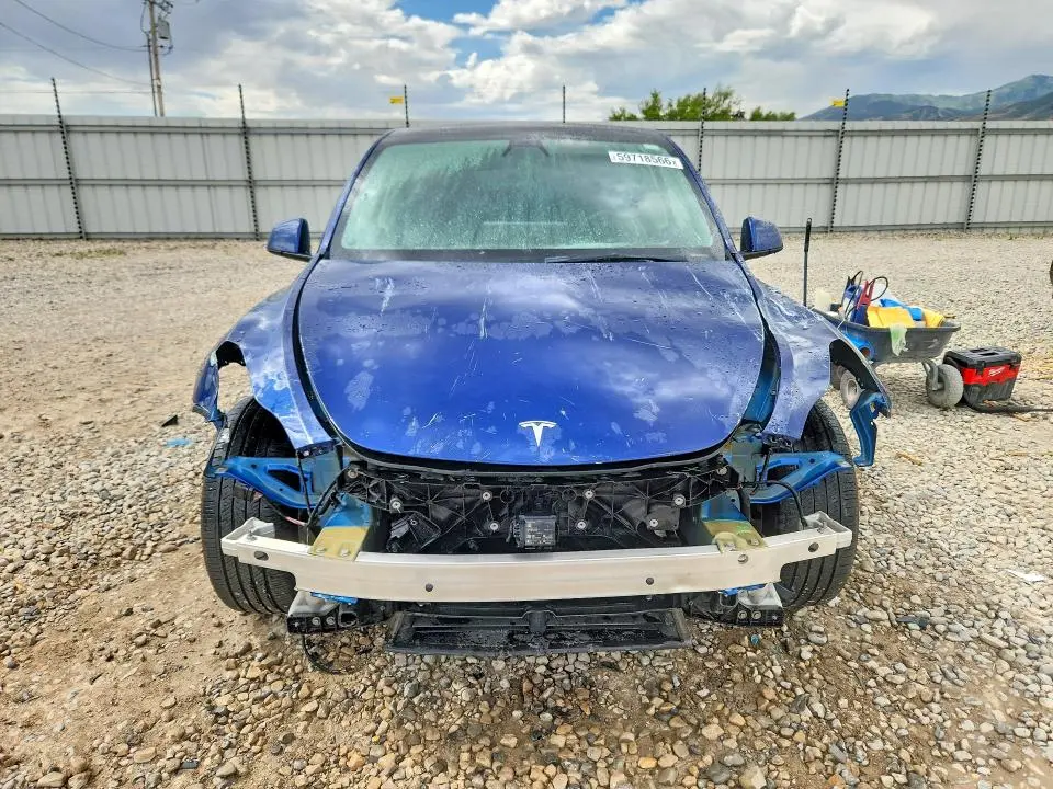 2021 TESLA MODEL Y   