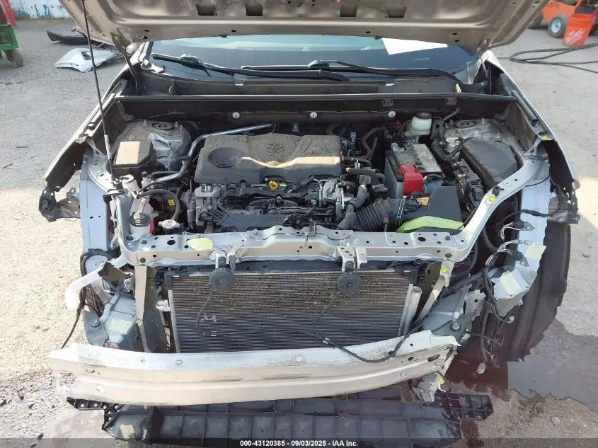 2019 TOYOTA RAV4 XLE