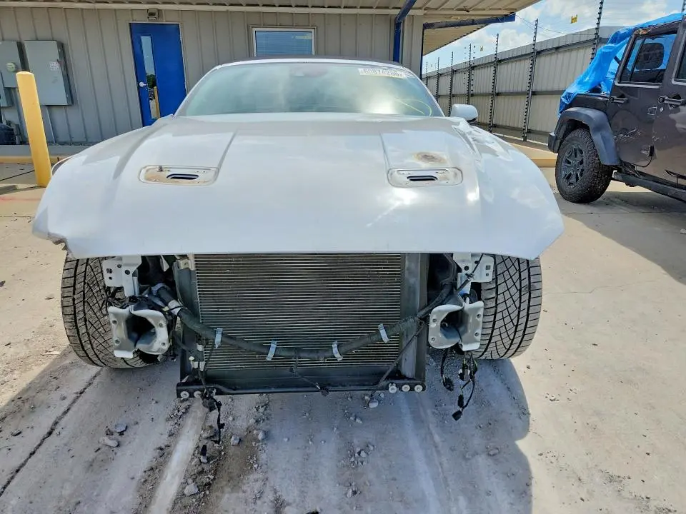 2019 FORD MUSTANG GT  