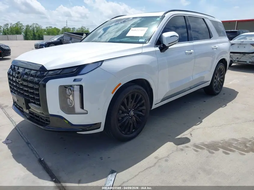 2025 HYUNDAI PALISADE CALLIGRAPHY NIGHT EDITION