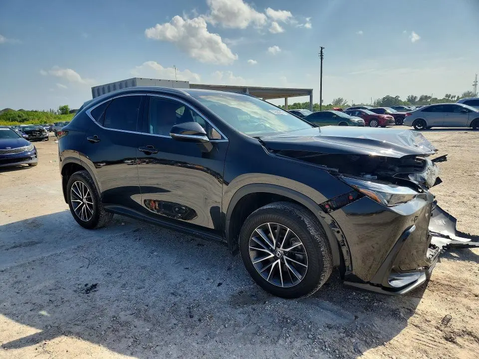 2024 LEXUS NX 250 PREMIUM  
